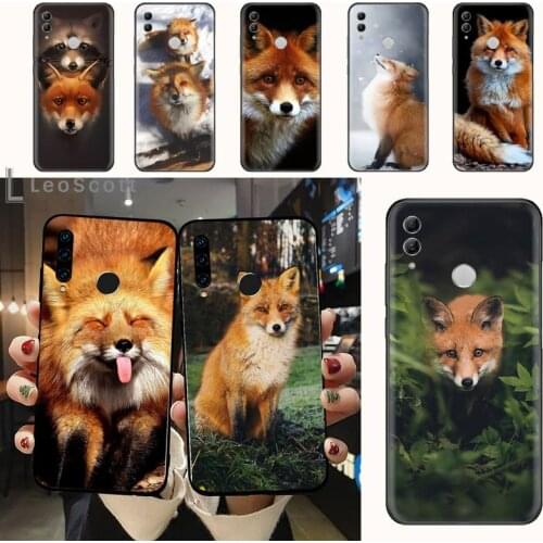 Animal Raccoon Fox Phone Case For Huawei Honor 7C 7A 8X 8A 9 10 10i Lite 20 NOVA 3i 3e