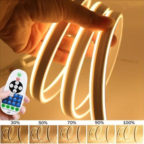 RGB Neon Light Flex LED Strip+Dimmer Control Neon Sign Rope 5050 2835 Waterproof Tape Neon Tube 220V EU 110V US White Warm White
