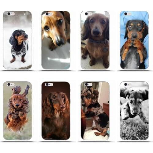 Animal Dachshund Soft Silicone TPU Transparent Phone Cover Case Coque For Samsung Galaxy A3 A5 A7 J1 J2 J3 J5 J7 2015 2016 2017