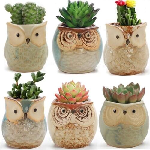 6Pcs/Set Ceramic Owl Thumb Pot Succulent Plant Cactus Flower Pot House Office Dotted Small Potted Flowerpot Garden Decoration