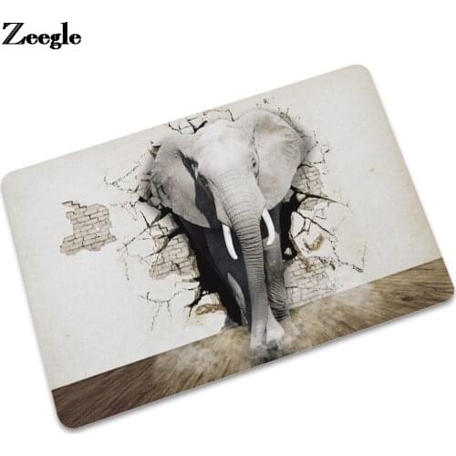 Animal Printed Kitchen Carpet Anti-slip Floor Mat Bedroom Washable Rubber Rug Dustproof Home Decor Door Mat