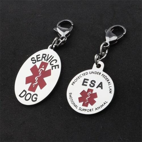 2Pcs Cat Dog ID Tag Personalized Dog Collar Pet Charm Name Pendant Bone Necklace Collar Puppy Accessory