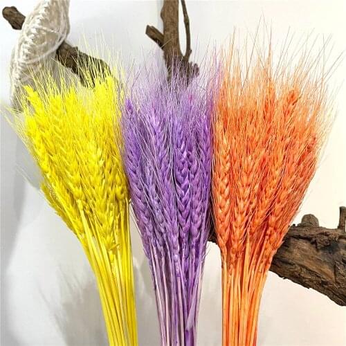50/100 PCS Wheat Ear Dried Flowers Natural Colorful Wedding Decoration Plants For Home Outdoor Decor DIY Craft Scrapbook Bouquet
