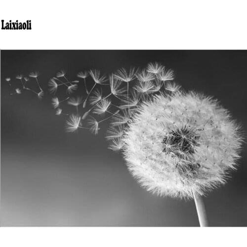 Diamond Painting Full Square Diamond "Dandelion" 3D Embroidery Cross Stitch Rhinestone 5D DIY Mosaic Decor black white art decor