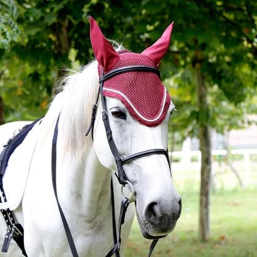 CAVASSION Products For Horses