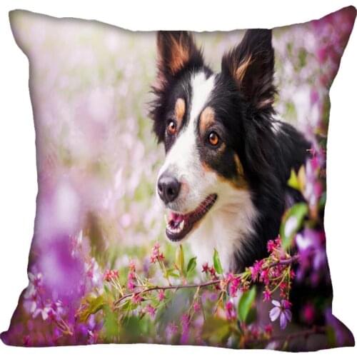 Nice Border Collie Pillow Case Modern Home Decorative Pillowcase 35x35cm,40X40cm(one sides) For Living Room Pillow Cover