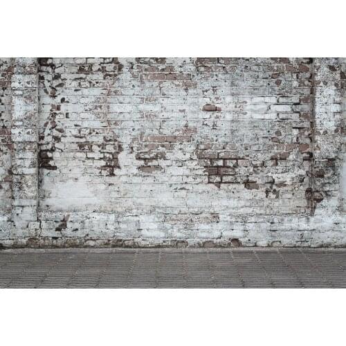 Retro Brick Wall Fotografia Background For Shooting Fairy Backdrop E190127A103