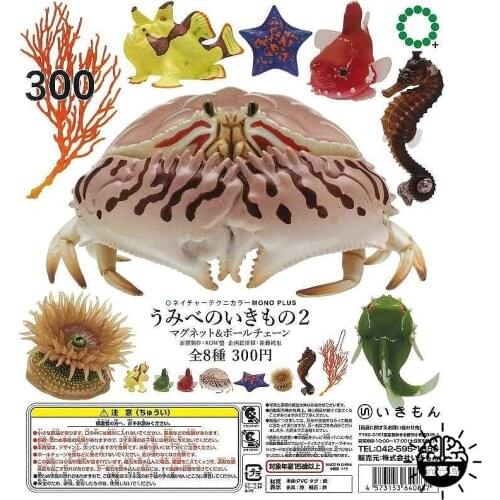 KITAN Marine Organism Gashapon Toys NTC Primary Color Atlas Neritic Organisms Refrigerator Magnet Pendant Action Figure