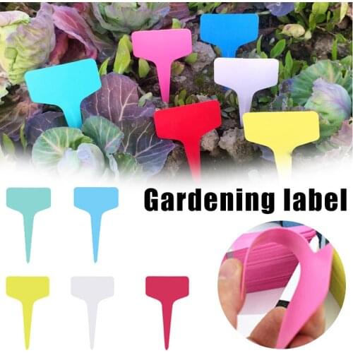 Non-metal deviss Plant Tags China