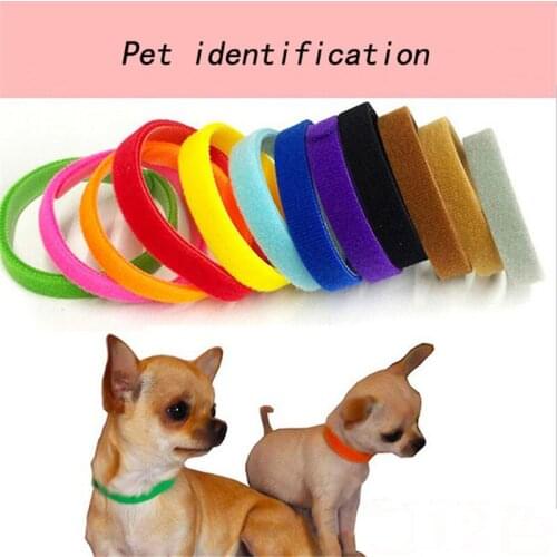 12pcs 20/35CM Puppy Kitten Dog Collars Pet ID Bands Adjustable Identity Recognition Collar For Pet Dog Cat Product KO872992