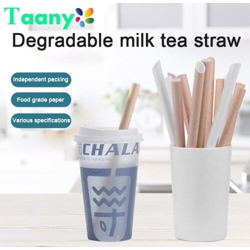 TAANY Disposable Tableware