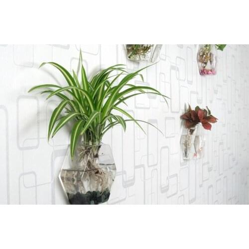 14.5*14.5CM Light-Weight Transparent Glass Vase Modern Wall-Mount Fish Tank Living Room Decoration Aquarium