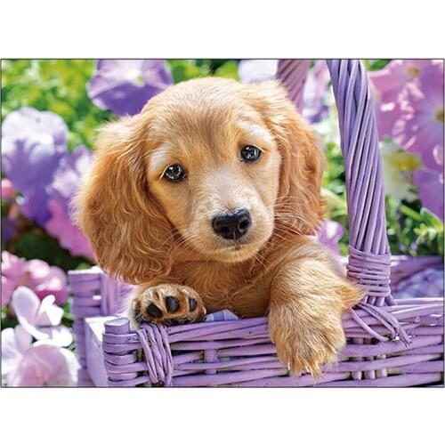 5D DIY diamond painting Cute puppy Dog Diamond Embroidery Full Cross Stitch Rhinestone Mosaic Home Decor Handmade Gift