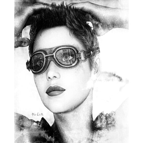 Photographic picture print on canvas black and white pictures landscape painting Birds home decor canvas painting