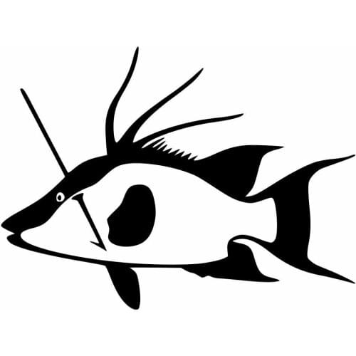 Spear fishing decal wetsuit neoprene pneumatic speargun freediving fish decal