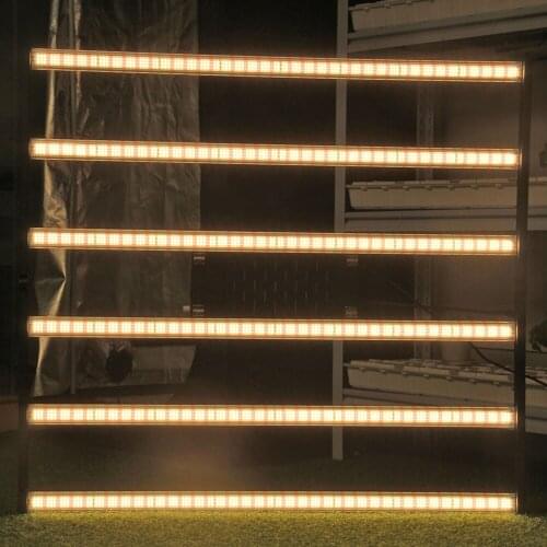 6pcs LED Grow Light Strips Full Spectrum Timer Warm White Led Bars For Plants Phyto Lamp Phytolamp Grow Tent With Power Adapter