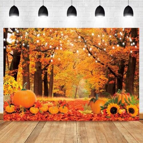 Autumn Background For Photography Harvest Pumpkins Sunflowers Shining Lights Forest Party Child Photo Backdrop Photo Studio Prop