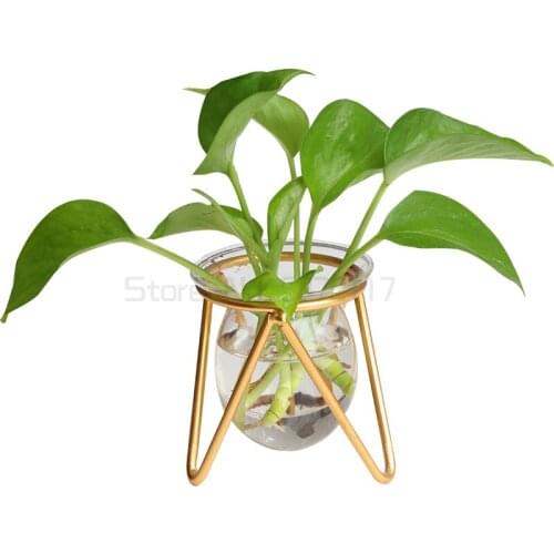 Nordic creative simple hydroponic green pineapple living room flower arrangement decoration hydroponic glass vase ornaments