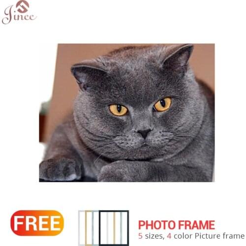 Full 5D DIY Diamond Embroidery Animal British Shorthair Cat Diamond Painting Cross Stitch Embroidery Crafts Decoration Gift
