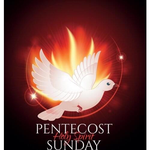 Pentecost Backdrop White Dove and Flame Photography Background Celebration Photo Booth Studio Decor