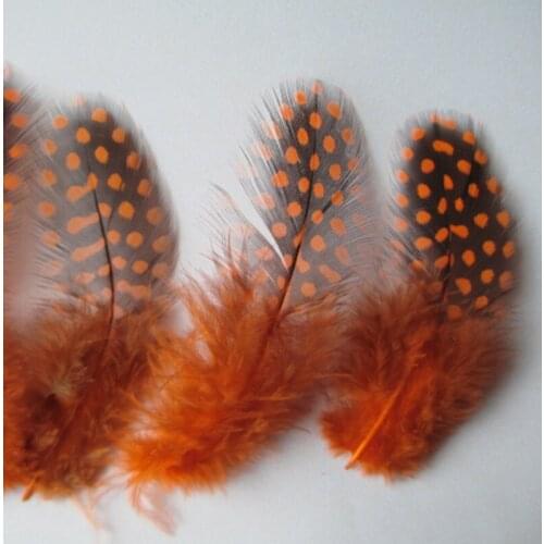 Wholesale 20pcs / lot beautiful orange guinea fowl feathers 2-3 inches / 5-8 cm beautiful dot pattern pearl feather