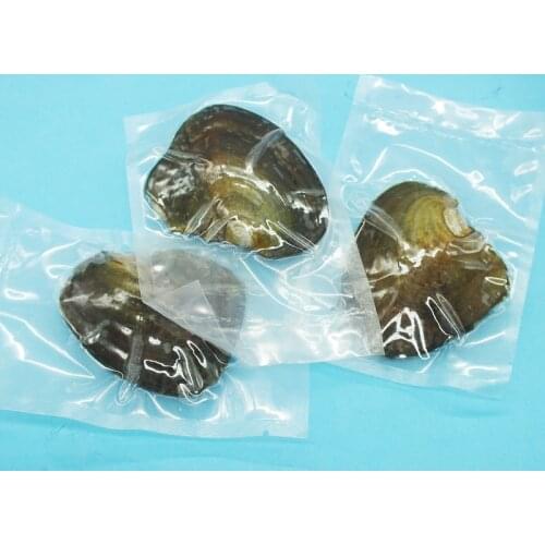 Wholesale 50pcs Classic Christmas present freshwater pearl oysters 6-7 mm pearl . Send you 50PCS cage, gift