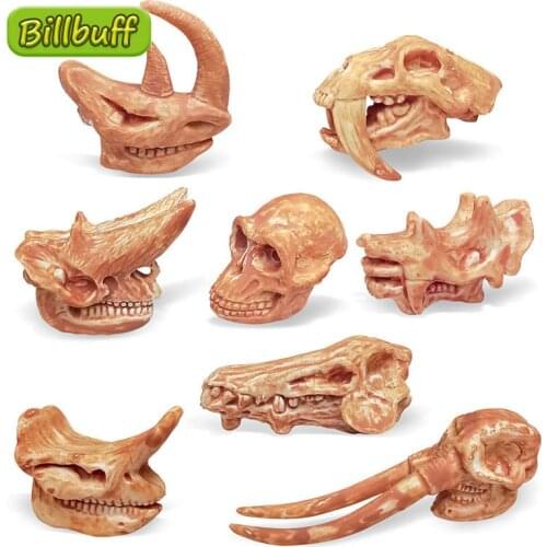 8Pcs Simulation Dinosaur Skull Skeleton Fossil Models DIY Assembled Dinosaur Collection Dolls ​Educational toys for children Gif
