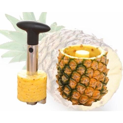 Pineapple Corer Slicer Cutter Peeler Stainless Steel Kitchen Easy Gadget Fruit