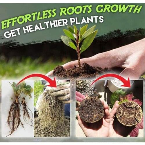 Rapid Rooting Powder Rooting Hormone Powder 30g/Bag Seedling Germination Aid Flower Anther Fertilizer Strong and Healthy Roots