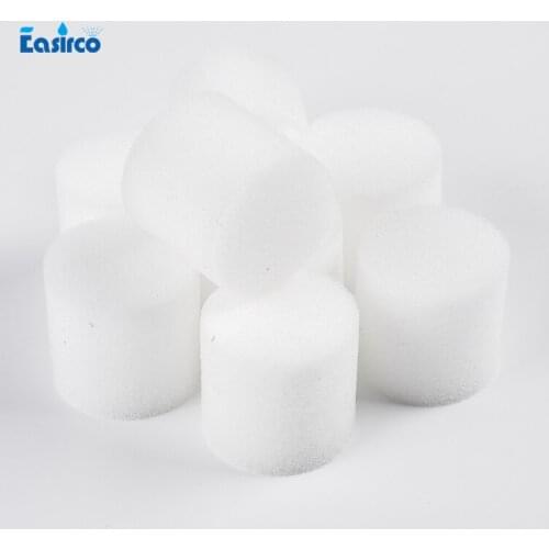 Easirco Seeds