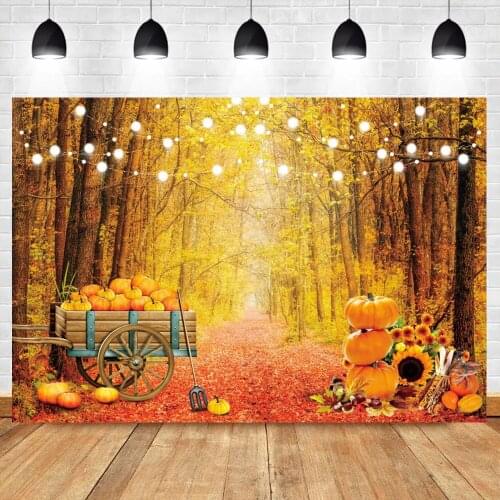 Photo Backdrop Autumn Forest Harvest Pumpkins Sunflower Party Glitter Lights Child Kids Shoot Photography Background Photocall