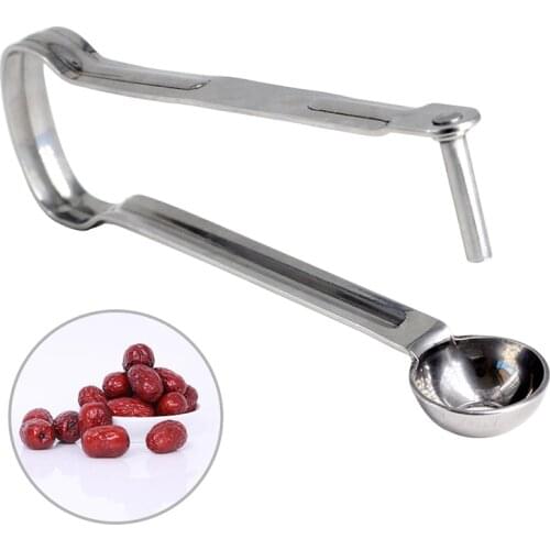 Stainless Steel Cherry Long Handle Fruit Corer Seed Remover For Jujube Hawthorn Fruit Vegetable Tool Home Kitchen Gadgets