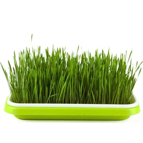 Seedling tray Plastic Double-Layer Seedling Sprouter Nursery Tray Hydroponics Basket Flower Plant Germination Tray Box