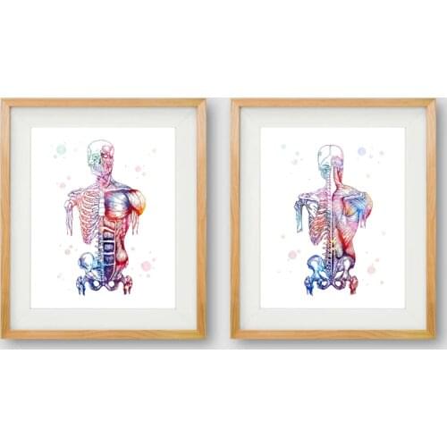 Human Muscles Canvas Art Print And Poster Watercolor Muscular System Skeleton Anatomy Painting Body Art Medical Print Wall Decor
