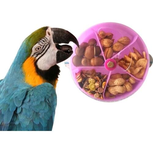 Parrot Feeder Rotatable Wheel Grids Hanging Foraging Toy Bird Feeder Parrot Foraging Wheel Rotate Gnawed