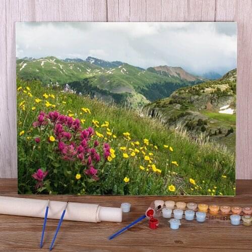Flower Landscape DIY Painting By Numbers Package Acrylic Paints 50*70 Boards By Numbers Home Decoration Handicraft