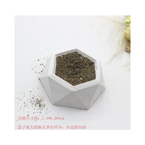 Cactus multi-meat series potted plaster plaster cast car hang silicone mold