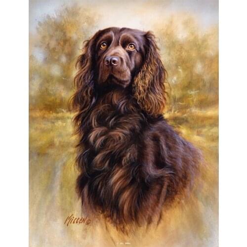 Unfinished diy diamond painting Boykin Spaniel cute pet 5D Diamond Embroidery dog mosaic full round square drill wall decor gift