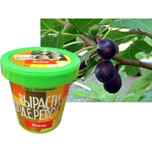 Зеленый капитал Lifestyle