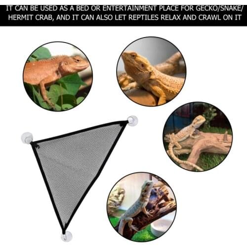 Reptile Hammock Lounger Ladder Accessories Set For Large Small Bearded Dragons Geckos Lizards Or Snakes Reptile Accessories