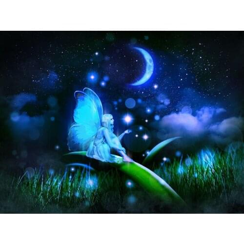 JMINE Div 5D Elf Fairy butterfly Moon Grass Full Diamond Painting cross stitch kits art Portrait 3D paint by diamonds