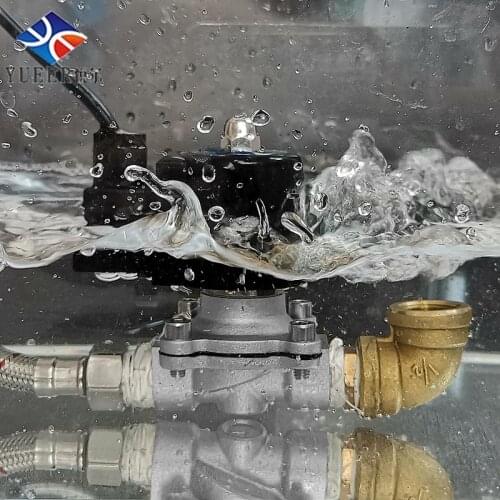 Stainless Steel Waterproof Solenoid Valves Underwater Use DC24V AC220V Normally Closed Female Thread
