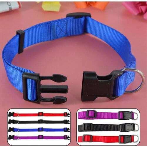 Pet Adjustable nylon dog collars Puppy Dogs Cat Neck Collar Solid Color Chihuahua Puppy nylon Collars