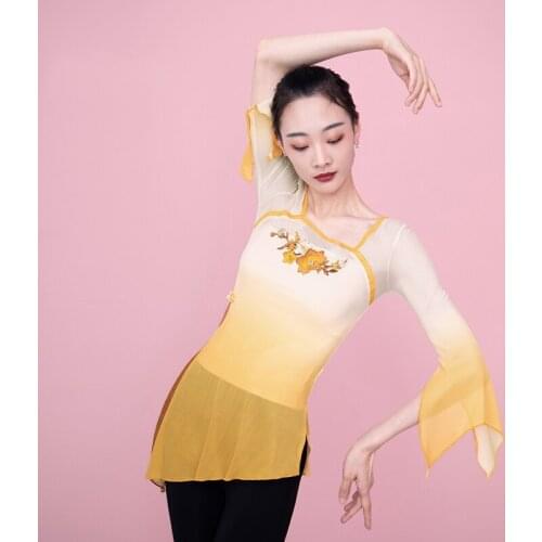 Fairy Classical Dance Tops Female Stage Costume Sheer Chinese Folk Dancewear Lyrical Dancer Outfit Festival Clothing JL3585