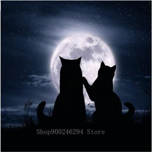 5D Diy Diamond Embroidery painting black cat and moonlight Diamond Mosaic Animal Diamond Painting Cross Stitch home Decor FF1777