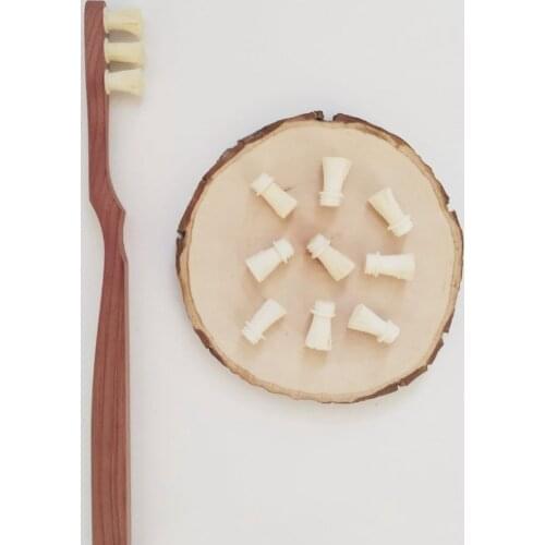 Misvak Natural Toothbrush Kit - Eco Friendly | Travel, Gift, Compact Natural Toothbrush Toothpaste | Arak Miswak Teeth Whitener