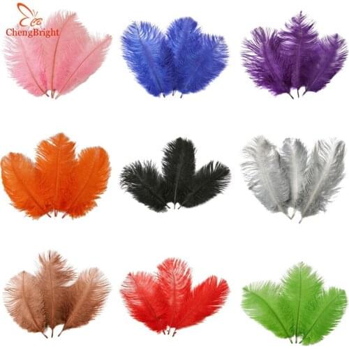 CHENGBRIGHT 10 Pcs/Lot Natural Ostrich Feathers For Crafts 20-25CM Carnival Costumes Party Home Wedding Decorations Plumes