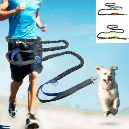 Heropie Leashes For Dogs