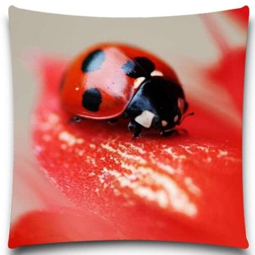 Black&red Ladybug Cotton polyester Cushion Cover Dragonfly 16 18 20 24 inches 9 Styles Creative Butterfly Pattern sofa car home