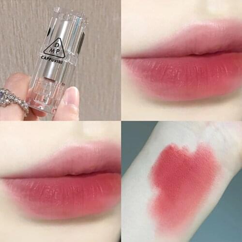 Matte Velvet Lipstick Transparent Shell Net Red Natural Makeup Lasting Waterproof No Fading Student Lady Cosmetics TSLM1